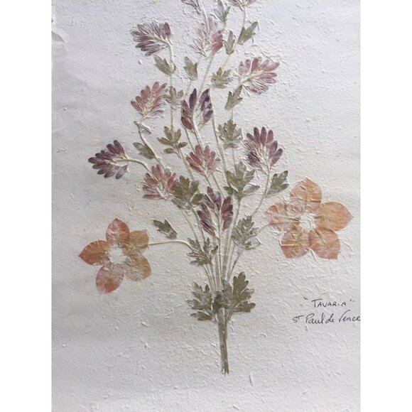 Pressed Flower Composition Signed '"Tavaria" St. Paul de Vence  Hand Made Paper - Picture 3 of 5